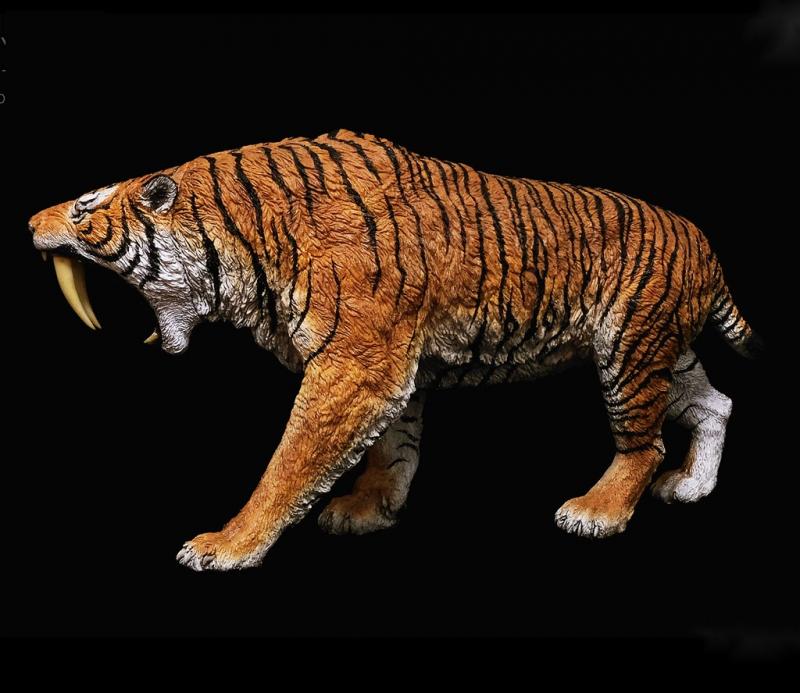 Saber-Toothed Tiger Smilodon Populator The Jungle Tiger-Striped Stray Cat 1/11 Figure pravěký svět