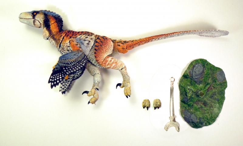 Dromaeosaurus albertensis Sixth Scale Fans Choice Action Figure  pravěký svět