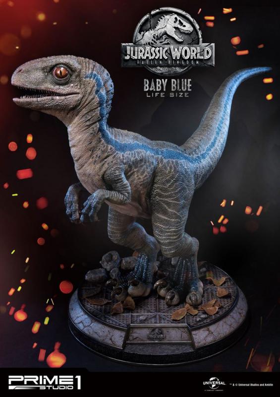 Baby Blue The Velociraptor Jurassic World Fallen Kingdom Life Size Statue pravěký svět