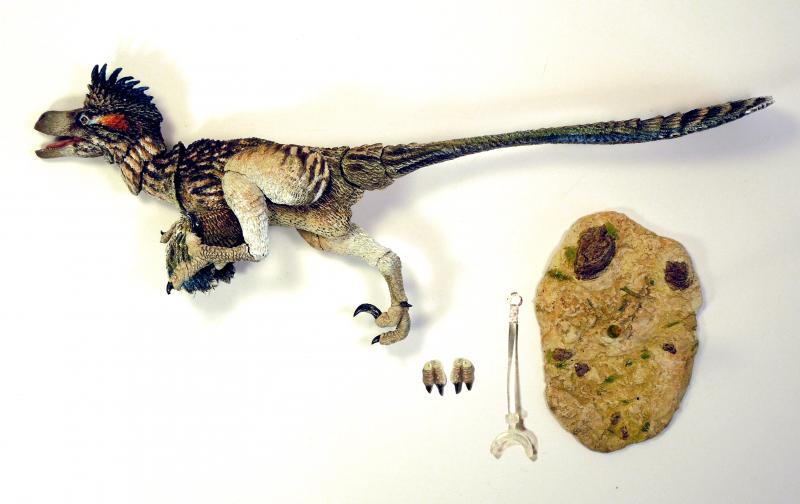 Saurornitholestes Langstoni Sixth Scale Fans Choice Action Figure pravěký svět